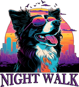 Border Collie - Night Walk