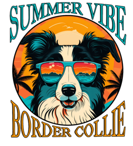 Border Collie - Summer Vibe I