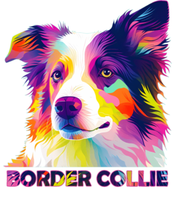 Border Collie - Pop art