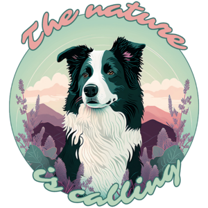 Border Collie - The nature is calling I