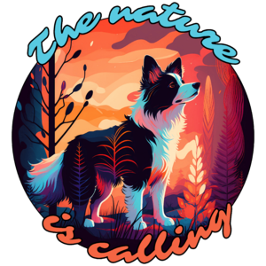 Border Collie - The nature is calling II