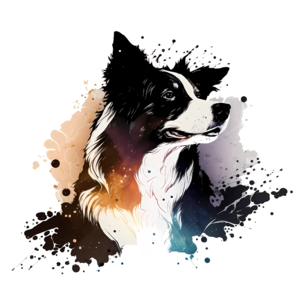 Border Collie - Vízfesték